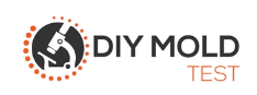 Diymoldtest logo